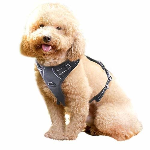 Rabbitgoo  Dog Harness No-Pull Pet Harness Adjustable Outdoor Pet Vest 3M Reflective Oxford Material Vest for Dogs Easy Control for Small Medium Large Dogs (Black, M)
