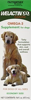 Nutramax Welactin Nutritional Supplement, Liquid, 16 oz
