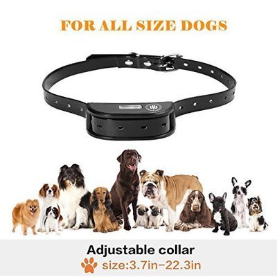 Petrainer PET998DRB1 Dog Training Collar Rechargeable and Rainproof 330 yd Remote Dog Shock Collar with Beep, Vibra and Shock Electronic Collar