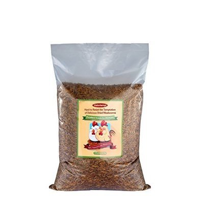 Hatortempt 11lbs Bulk Dried Mealworms for Wild Birds, Chichens, Duck etc