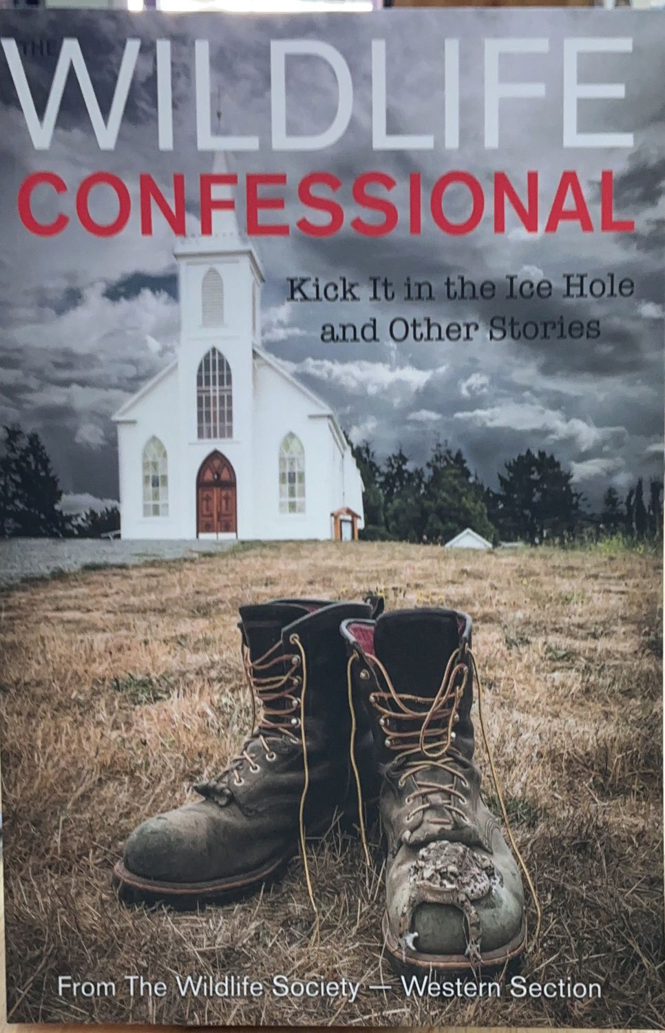 WILDLIFE CONFESSIONAL