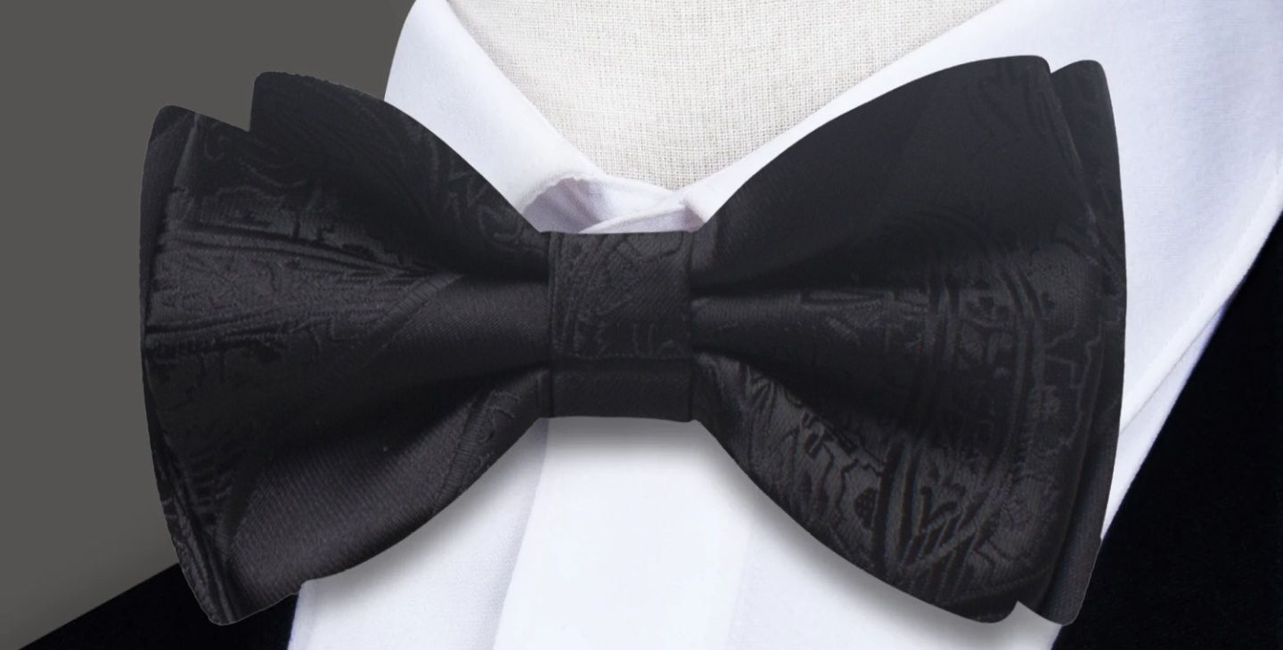Solid Pasley Bow Tie