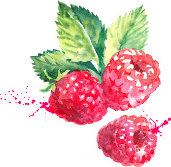 Raspberry