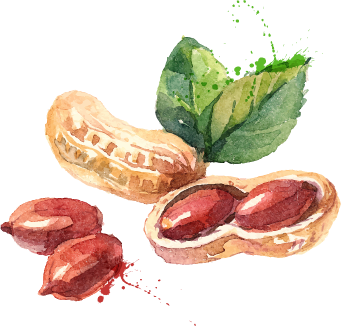 Peanut Butter