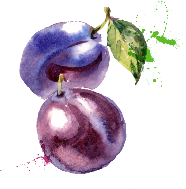 Plum