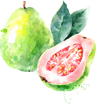Guava