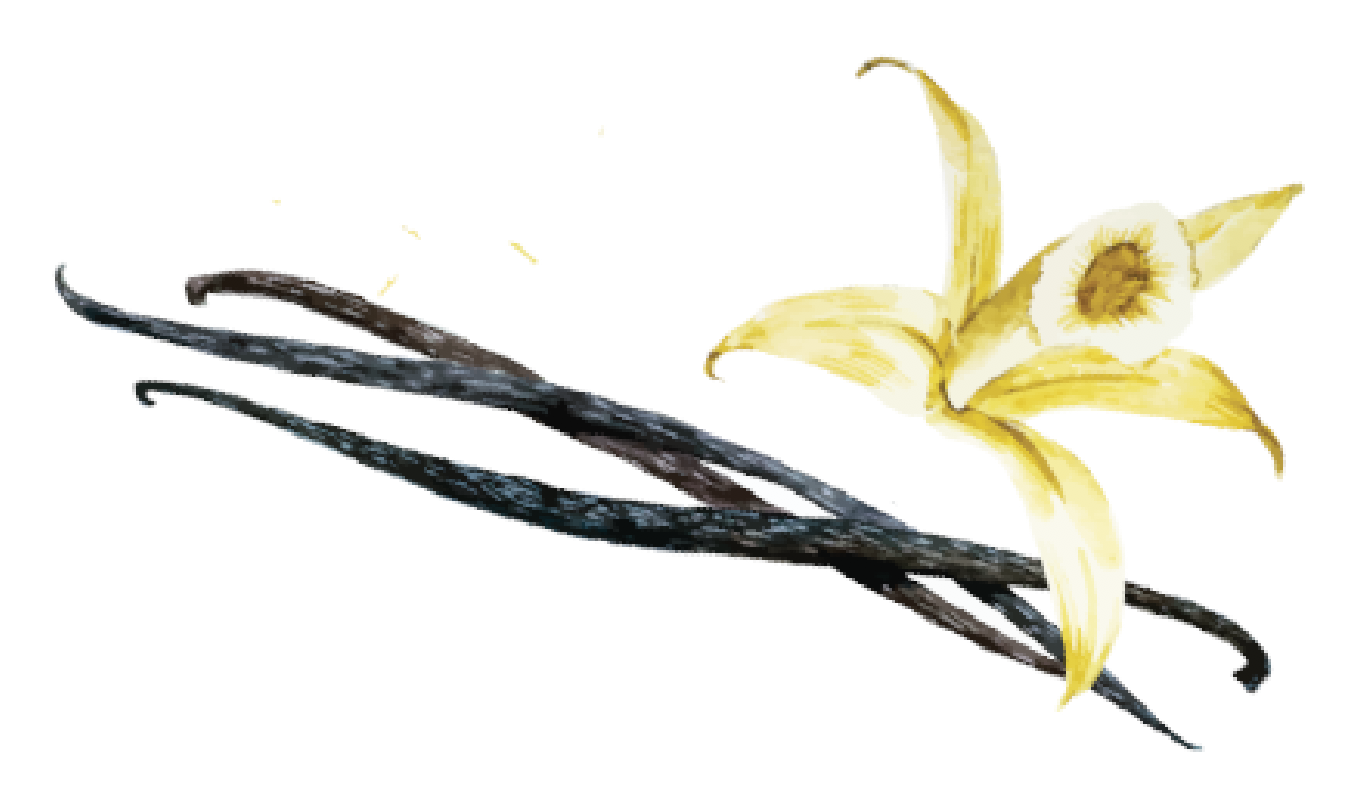 Vanilla