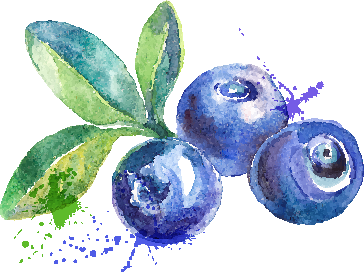Blueberry