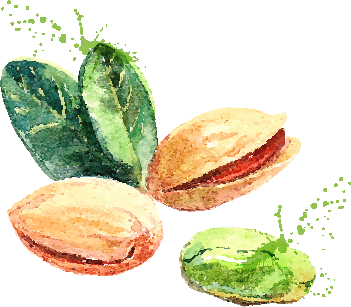 Pistachio
