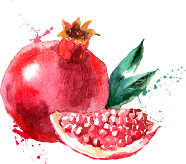 Pomegranate