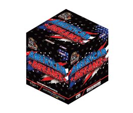 AMERICAN DREAMZ