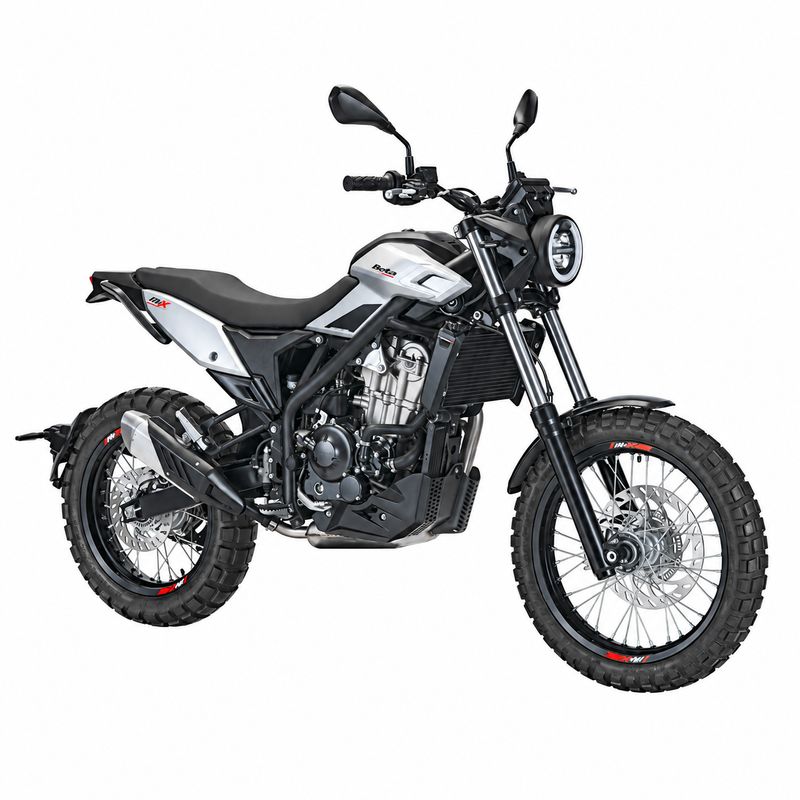 Betamotor Alp X Betamotor Alp X