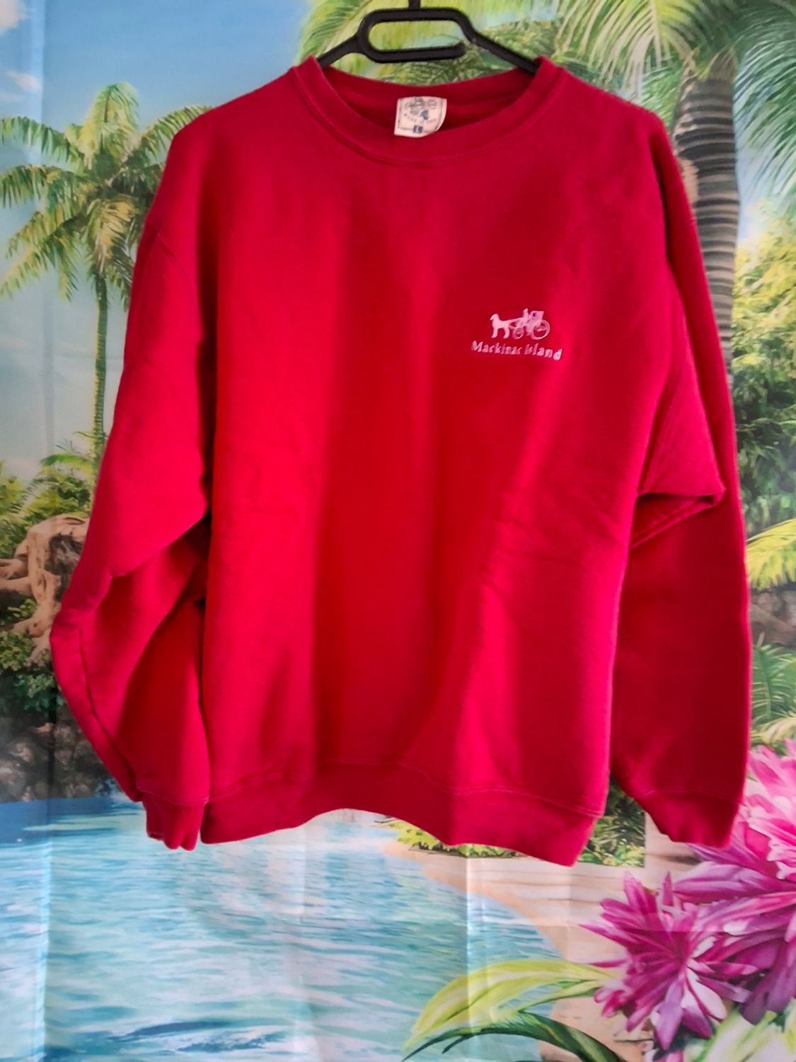 sweat homme  MACKINAC ISLAND