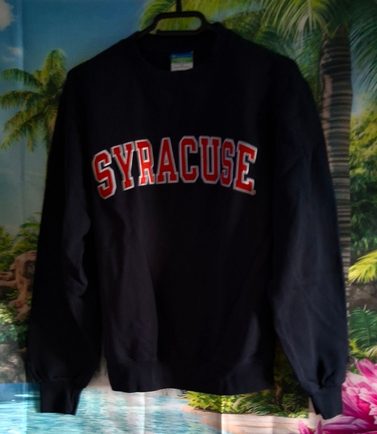 sweat homme champion