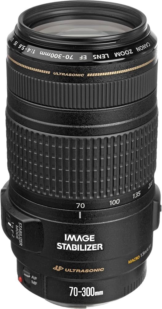 Canon EF-S  70-300mm f/1:4-5.6 USM Ultrasonic Zoom Lens (151)