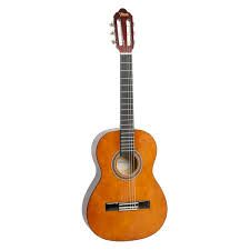 Denver Natural Classical Cutaway Acoustic/Electric w/Gigbag