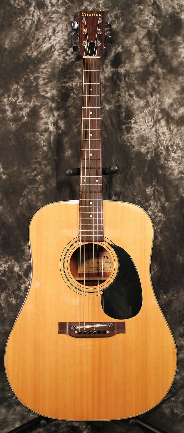 Citation 640 Acoustic Guitar (033)