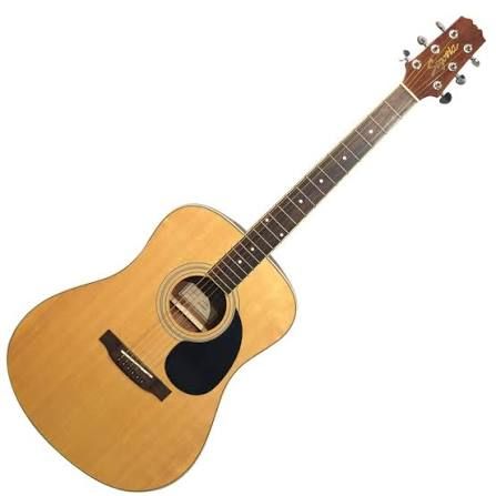 Segovia D-07 Acoustic Guitar
