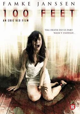 100 Feet, DVD