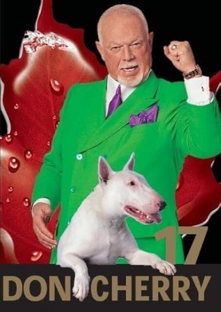 Hockey Night in Canada Don Cherry 17, DVD