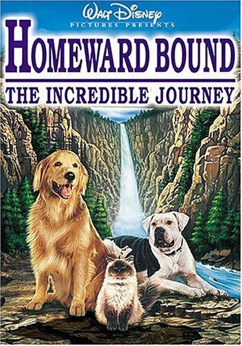 Homeward Bound: The Incredible Journey, DVD
