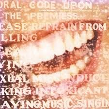 Alanis Morissette - Supposed Former Infatuation Junkie, CD