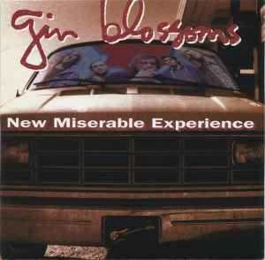 Gin Blossoms - New Miserable Experience, CD