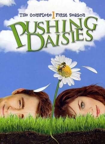 Pushing Daisies - Season 1, DVD