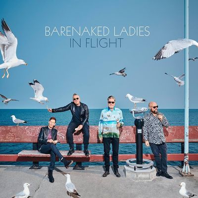 Barenaked Ladies: In Flight, Vinyl (NEW)