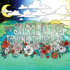 The Sheepdogs - Trying To Grow, Vinyl (NEW)