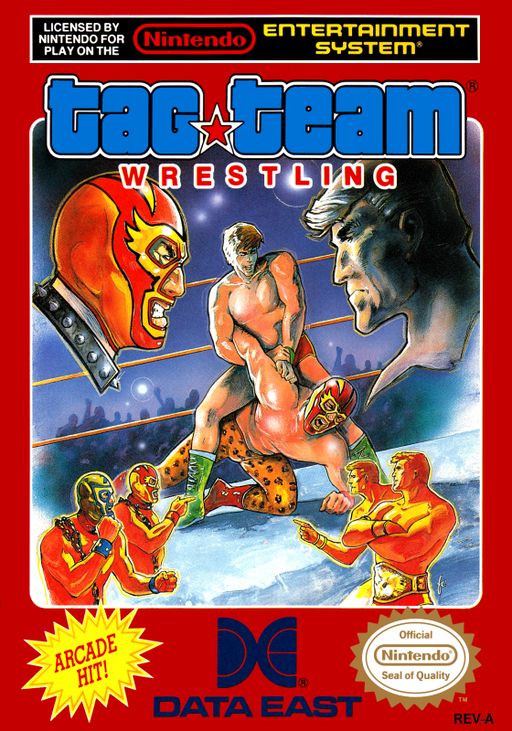 Tag Team Wrestling, NES (Cart Only)