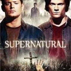 Supernatural - Season 4, DVD