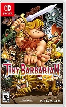 Tiny Barbarian DX, Switch
