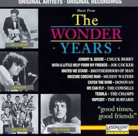 Various Artists - The Wonder Years "Good Times, Good Friends", CD