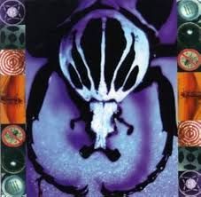 The Age Of Electric - Make A Pest A Pet CD