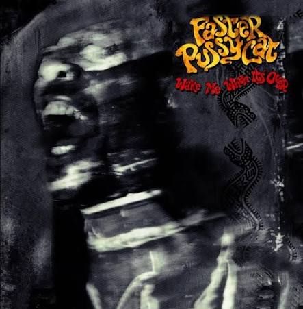 Faster Pussycat - Wake Me When It's Over, Vinyl (NEW)