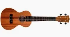 Denver DUKECCE-MAN Acoustic Electric Ukulele