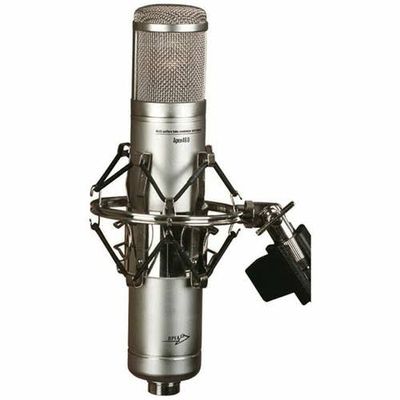 Apex 180 Pencil Condenser Microphone