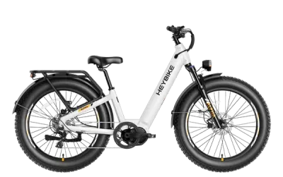 Hey Bike Alpha Mid Drive All Terrain E-Bike W/Charger  (208)