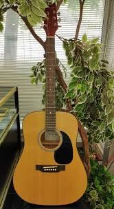 Denver DD44S-SB Acoustic Guitar