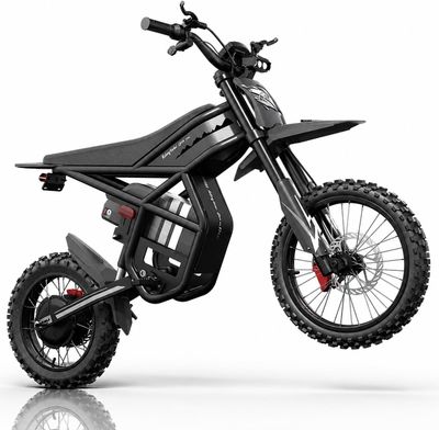 Riding Times GT54 Pro Electric Dirt Bike (600)