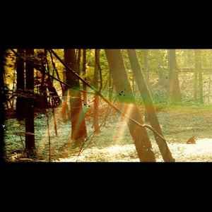 Childish Gambino – Camp (2 LP's, Trifold, 180g) (NM), Vinyl