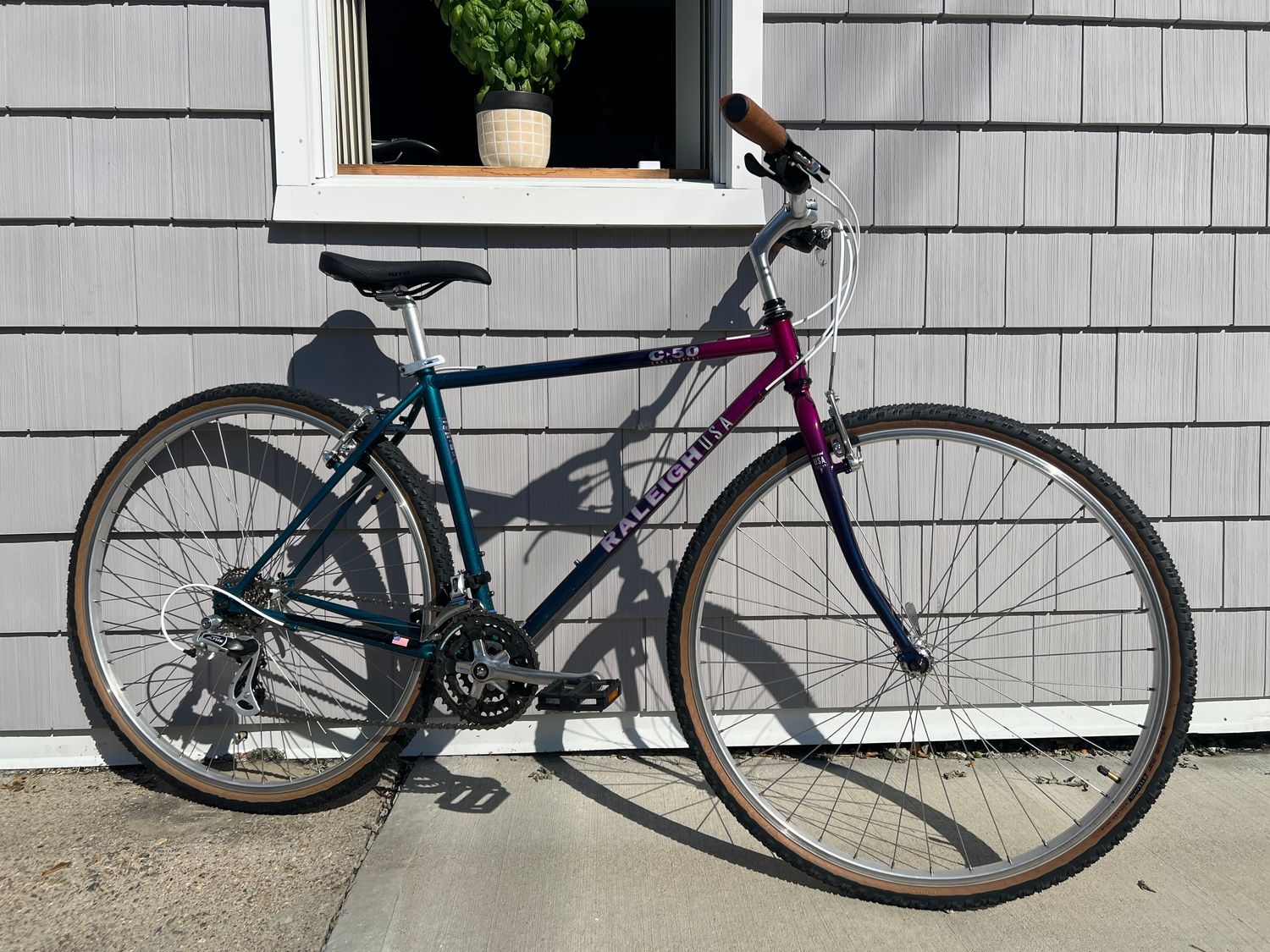 Refreshed Raleigh C50 Green/Purple Fade 18/M