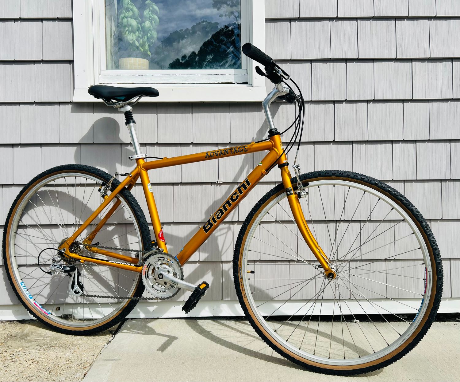 Refreshed Bianchi Advantage Medium Orange