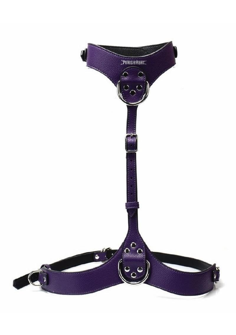 Punishment Body Harness