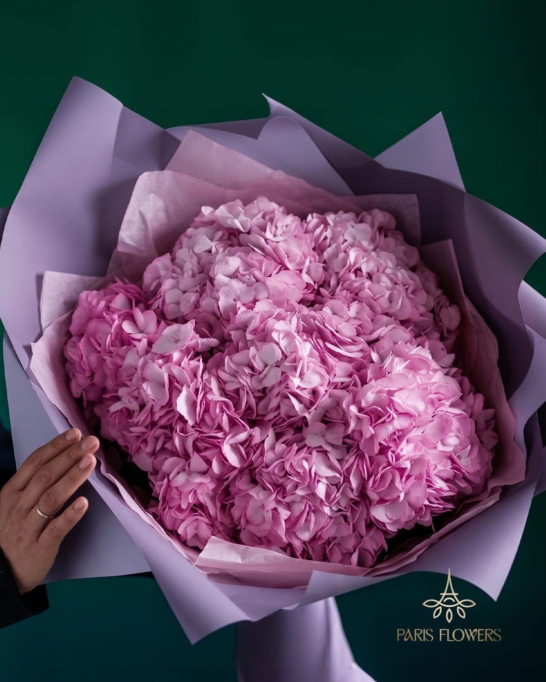Pink 7 Hydrangeas