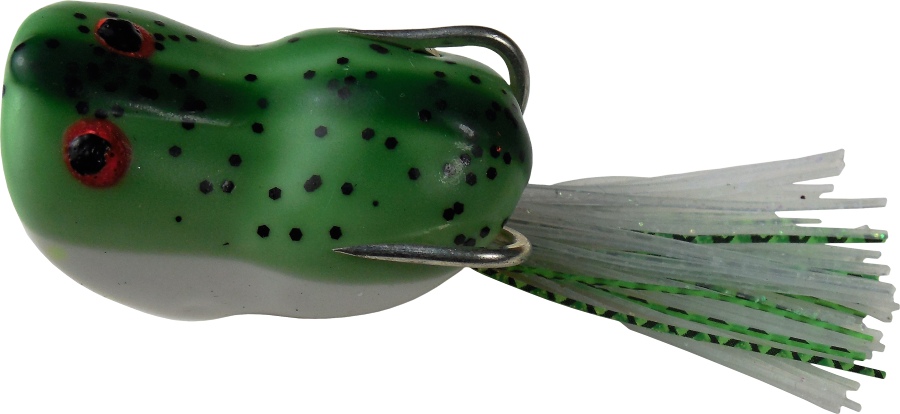 Pygmy Frog Bullfrog