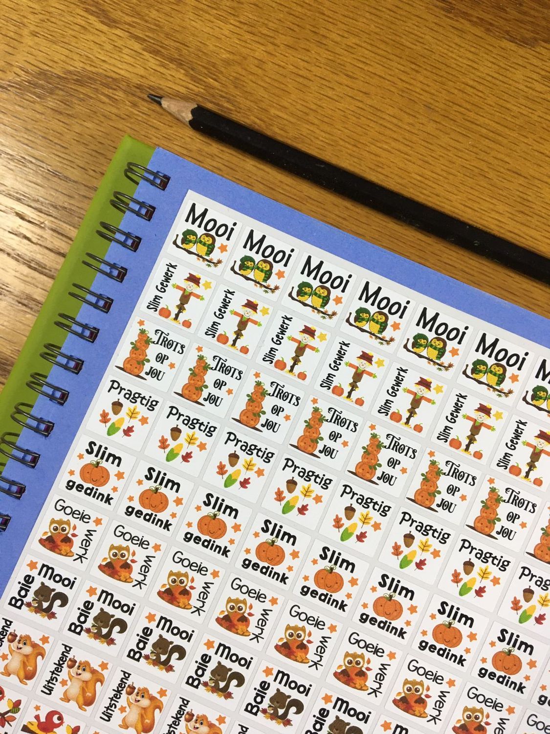 Autumn Theme 1 Reward Stickers - Afrikaans