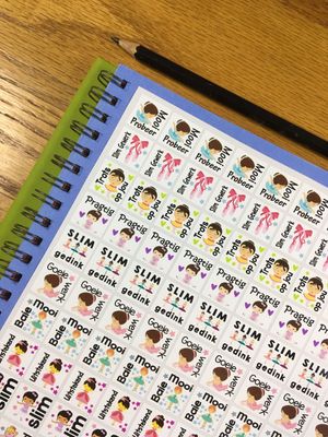 Ballerina Theme 1 Reward Stickers - Afrikaans