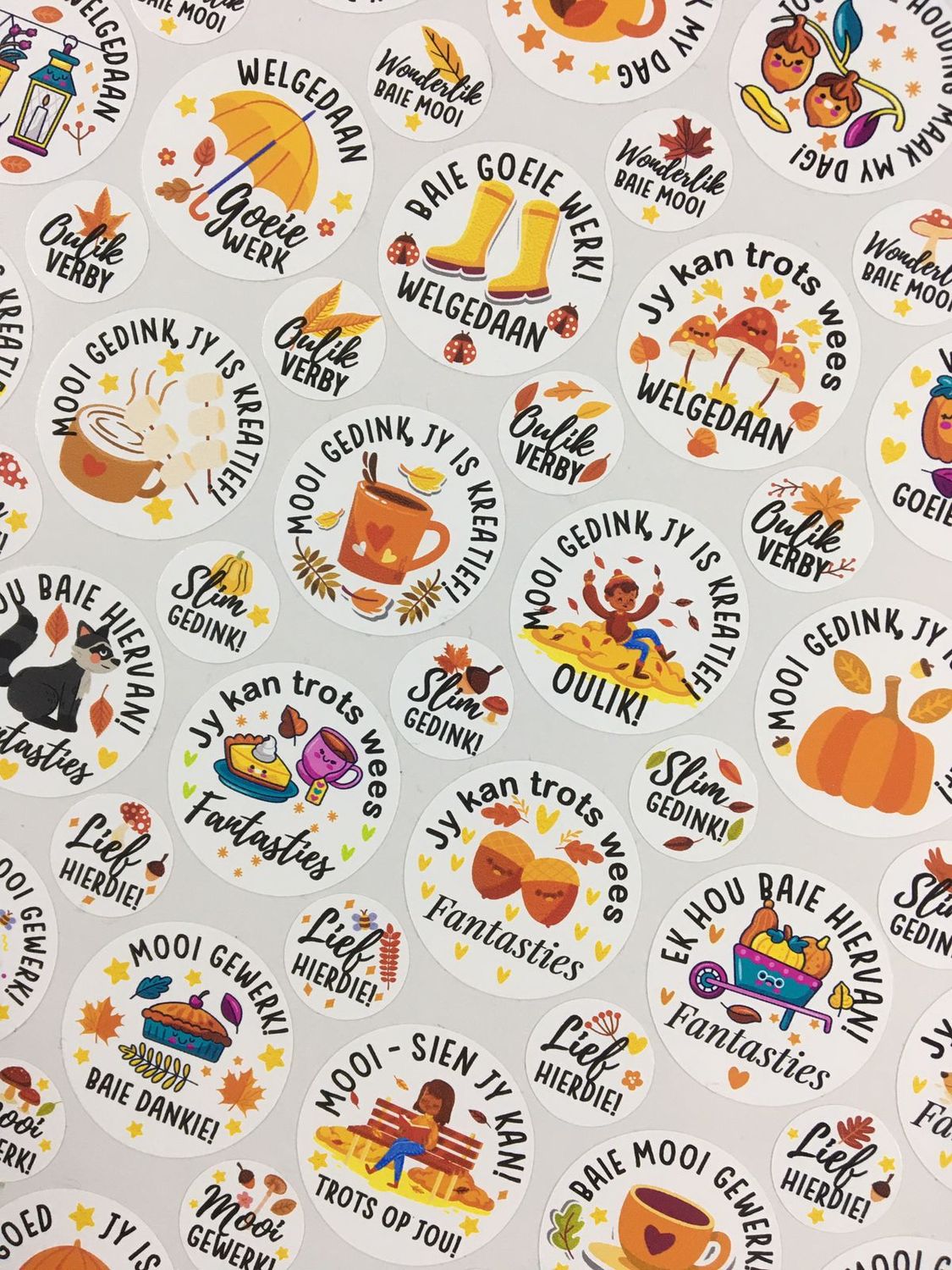 Autumn Theme 2 Reward Stickers - Afrikaans